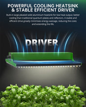 Load image into Gallery viewer, ViparSpectra® Upgraded P600 100W LED Grow Light