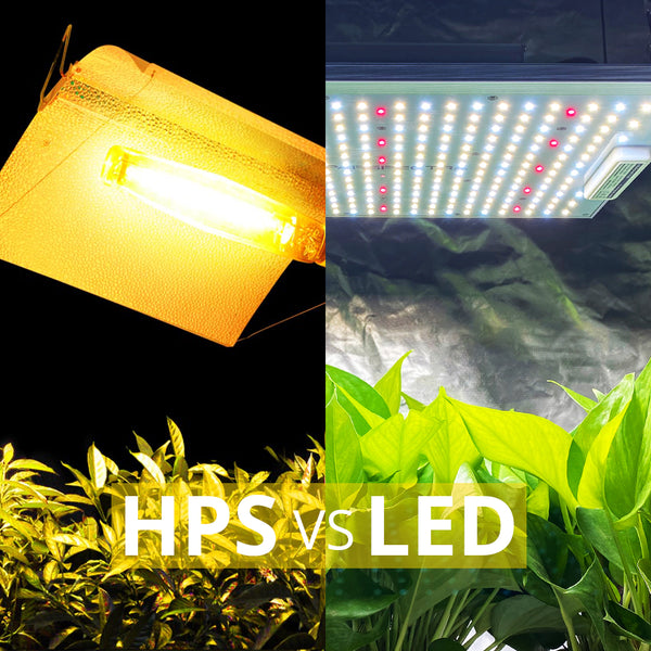 HPS vs. LED Grow Lights