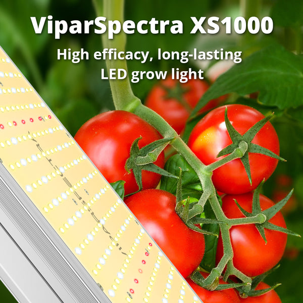 Know More about Plant Lighting - Consider Efficiency With Efficacy