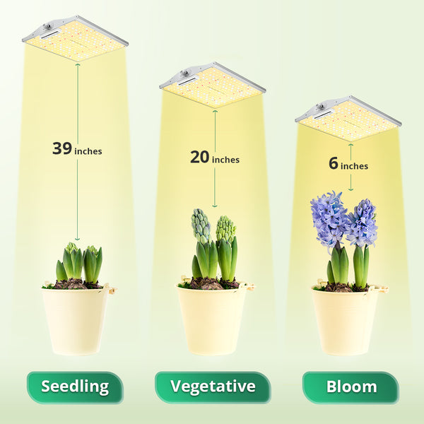 How Far Should LED Grow Lights Be from Plants?