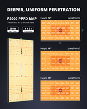Load image into Gallery viewer, ViparSpectra® P2000 250W LED Grow Light with MeanWell Driver for 120x90CM Grow Tent
