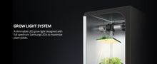 Load image into Gallery viewer, ViparSpectra® P2000 250W LED Grow Light with MeanWell Driver for 120x90CM Grow Tent
