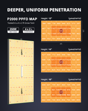 Load image into Gallery viewer, ViparSpectra® 2024 Upgraded P2000 250W LED Grow Light
