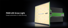 Load image into Gallery viewer, ViparSpectra® USED P600 100W LED Grow Light Full Spectrum for 60x60CM Grow Tent
